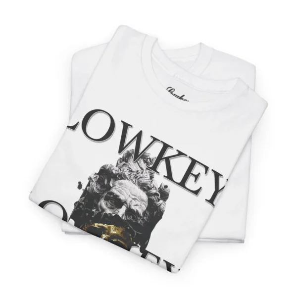 2274474065016232667_2048 Lowkey Apparel Designer T-Shirt v2