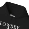8812437747909153225_2048 Lowkey Apparel Designer Hoodie v1 Limited Exclusive